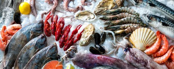 Fruits de mer